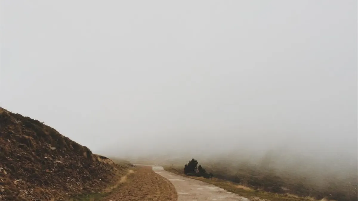 Ein Weg verliert sich im dichten Nebel
