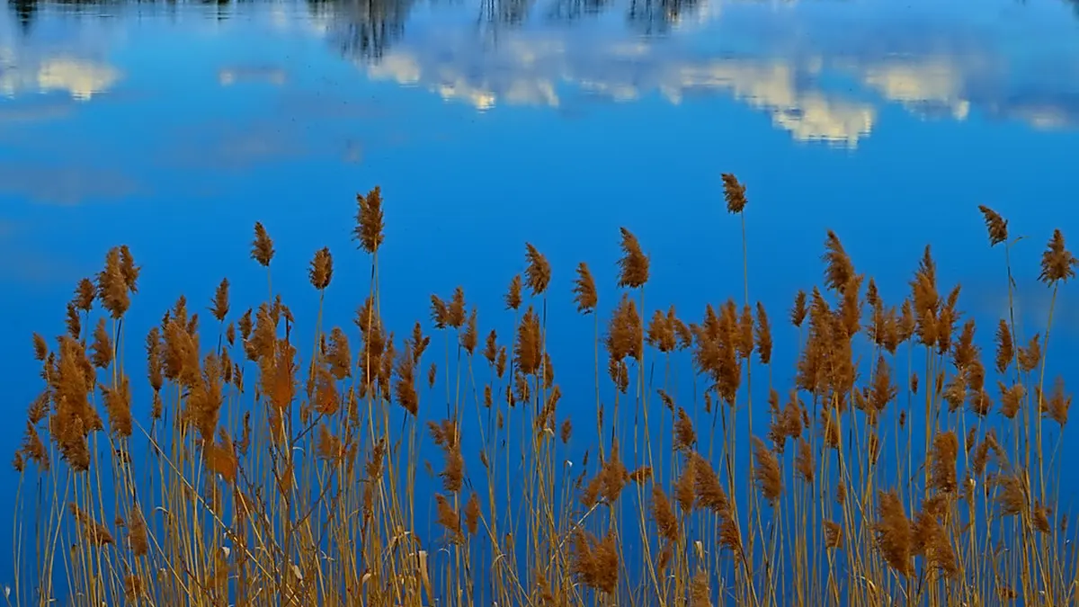 Spiegelglatter See in ruhiger Morgenstimmung
